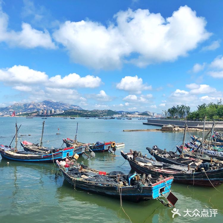 来青岛请收藏🌟｜必玩榜➕小众推荐💎