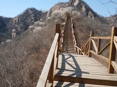 -大岭沟猕猴桃谷风景区