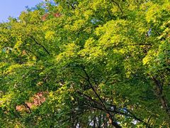 -西安创业咖啡街区