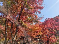 -本溪老边沟风景区