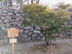 -名古屋城