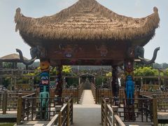 -呀路古热带植物园