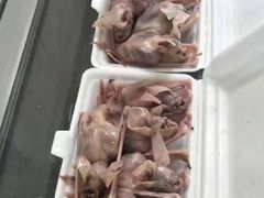 -卡塞拉自然公园