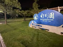 -水杉园