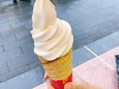 -蜜雪冰城(东兴街店)