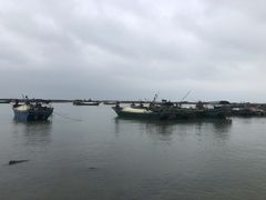 -东寨港红树林旅游区