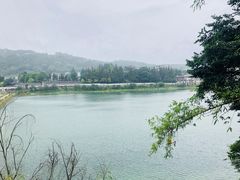 -墨尔本皇家植物园