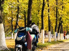 -金陵图书馆