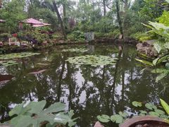 -岳麓山风景名胜区