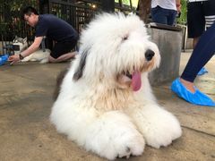 -TrueLove @ Neverland (Husky Cafe)
