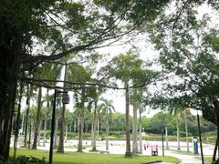 -南宁南湖公园