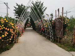 -意大利农场度假村