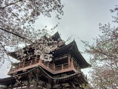 -西安青龙寺遗址景区