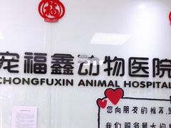 -宠福鑫动物医院(城北分院)