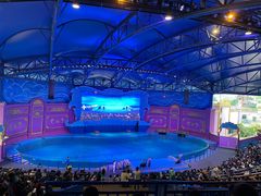 -横店影视城梦幻谷园区