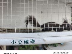 -南戴河国际娱乐中心