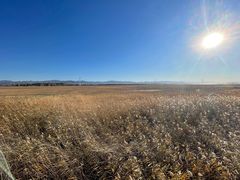 -野鸭湖国家湿地公园