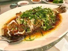 清蒸青衣-金唐海鲜酒家