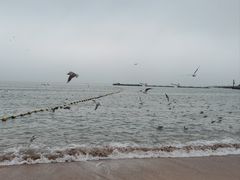 -青岛第一海水浴场