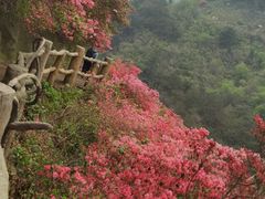 -木兰云雾山