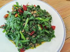 韭菜炒螺丝-符离集餐厅(万象城店)