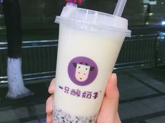 -一只酸奶牛(八一路店)