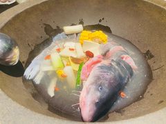 -鲜潭蒸汽石锅鱼(五道口购物中心店)