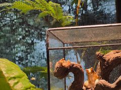 -自由生长植物工作室(深港花卉中心店)