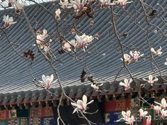 -碑林公园