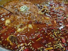 -品鱻黑豆花美蛙鱼(西政店)