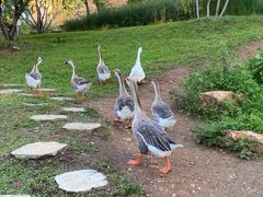 -伊隆斋(什刹海店)