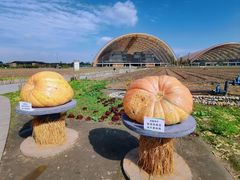 -中国天府农业博览园