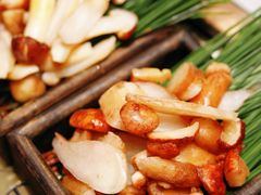 -木王宴语·野生鲜菌火锅(玉河店)