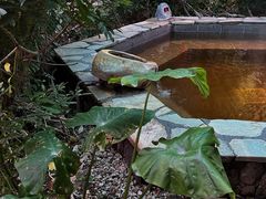 -韶关经律论国际酒店温泉