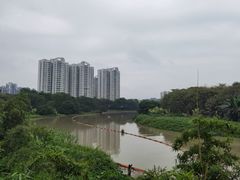 -广东花都湖国家湿地公园
