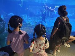 -威海华夏城景区