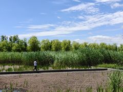 -永定河休闲森林公园