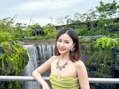 -新加坡飞禽公园