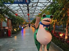 -南宫五洲植物乐园