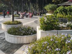 -荔枝公园(福田区)