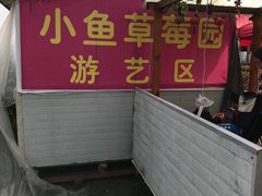 -小鱼草莓采摘园农家乐·小鱼餐厅