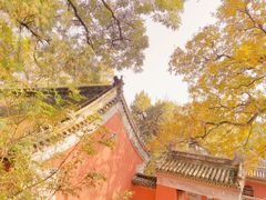 -哈哈曲艺社(西门闲亭店)