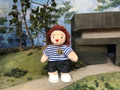 -济州岛泰迪熊博物馆