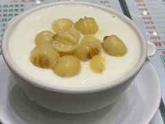 莲子炖奶-义顺牛奶公司(新马路老店)