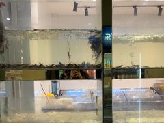-小乡小镇·传承桐庐土菜·老板亲自烧的菜