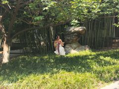 -西安青龙寺遗址景区