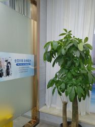 -武汉五洲整形外科医院