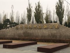 -永定河休闲森林公园