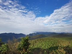 -武陵山森林公园