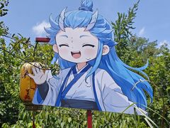 -花溪公园